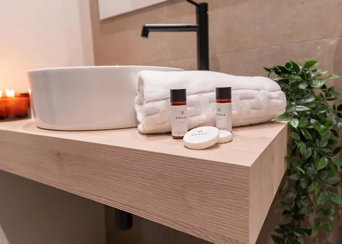 Paseo Zorrilla 100 Coliving